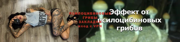 не бодяженный Новодвинск