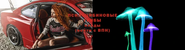 эйфоретик Новозыбков