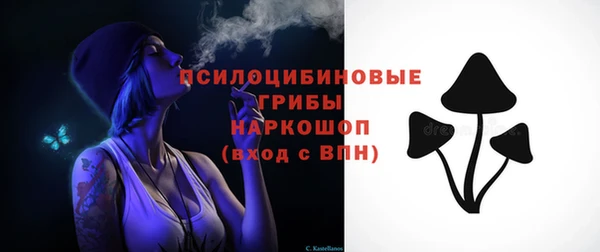 эйфоретик Новозыбков