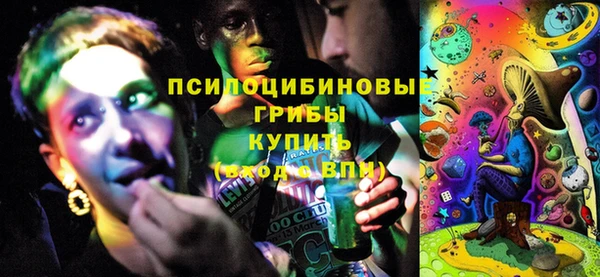 не бодяженный Новодвинск