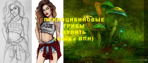 эйфоретик Новозыбков