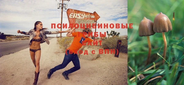 не бодяженный Новокубанск